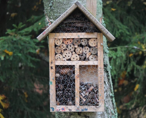 Swiss-Alps-Chalet-outdoor-activities-build-bug-hotel