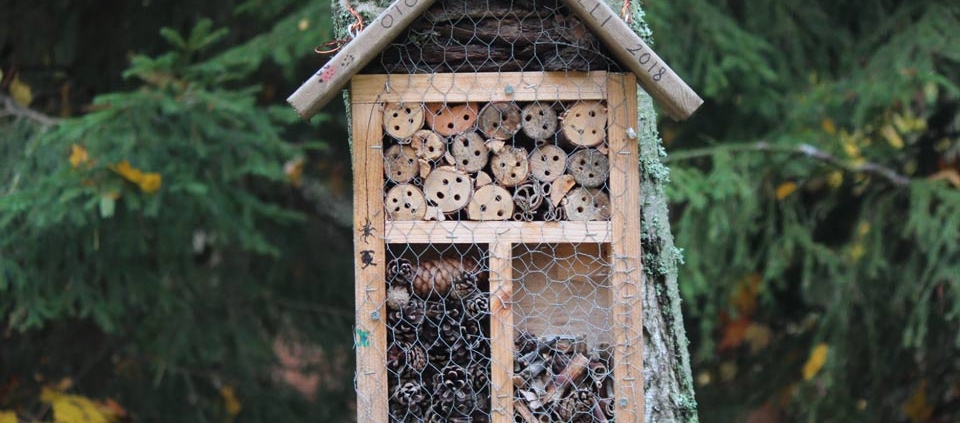 Swiss-Alps-Chalet-outdoor-activities-build-bug-hotel